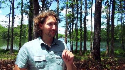 School Bus Converted To Incredible Off-Grid Home