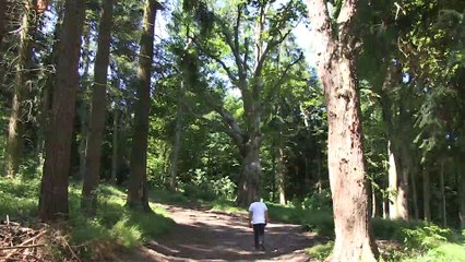 RHONE ALPES Actu - 23 JUIN 2017