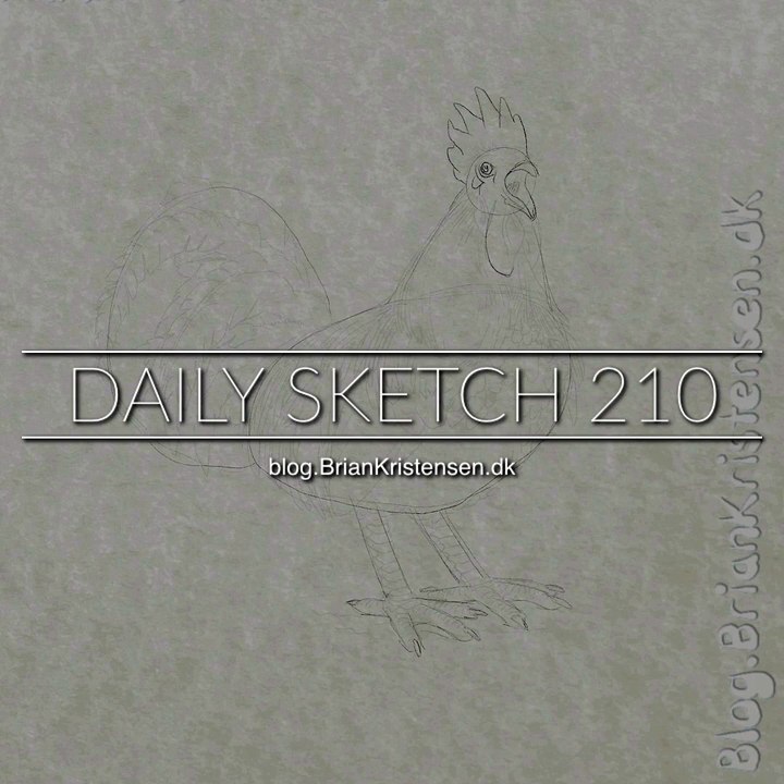 How to draw a #rooster