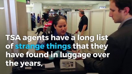 TSA catches live lobster at Boston's Logan Airport