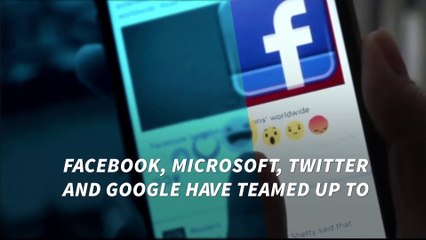 Facebook, Microsoft, Twitter and Google partner to fight terrorism