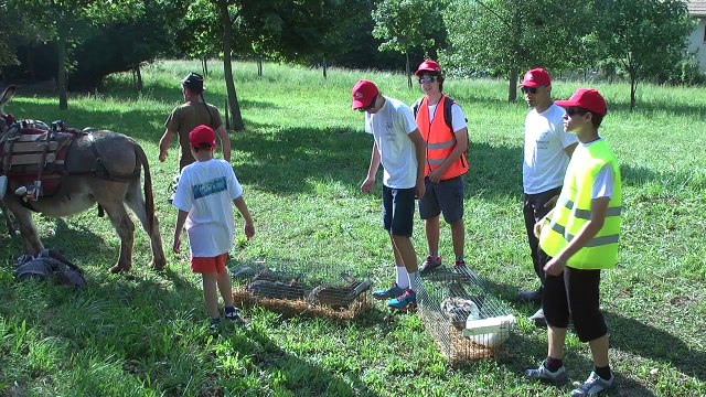 Hautes-Alpes : Une transhumance de 3 jours pour les enfants de l'IME de Gap