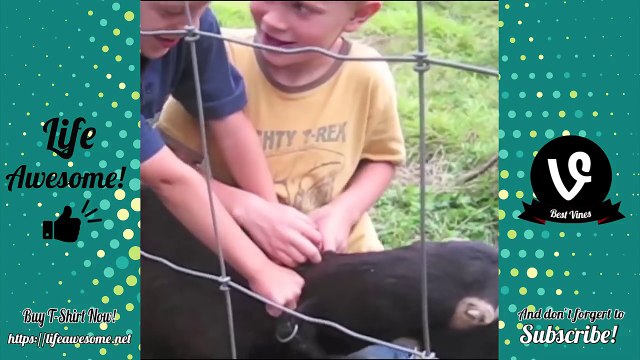 TRY NOT TO LAUGH or GRIN- Funniest Goat Screaming Videos - Funny Animals Vines Compilation 2017