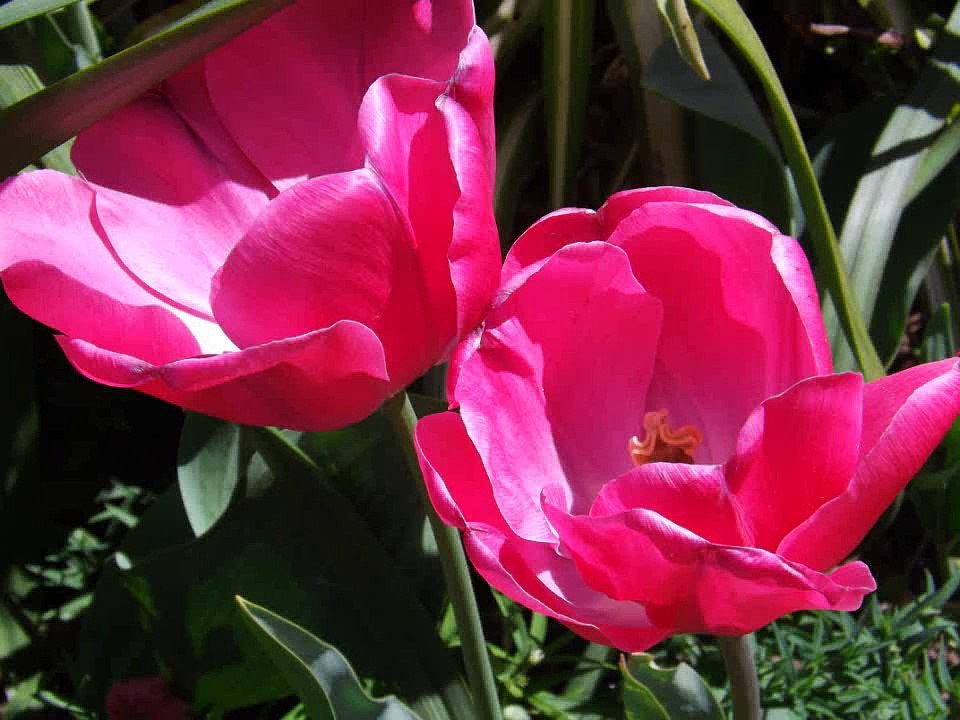 Test de Colorimétrie HD720p 2
