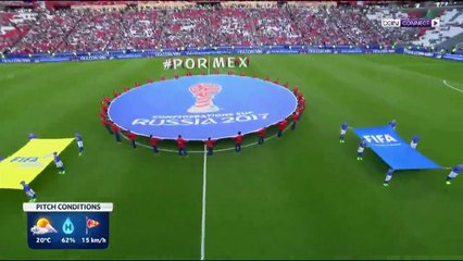 كأس القارات- تقنية الفيديو جيدة ولكن ليست مثالية