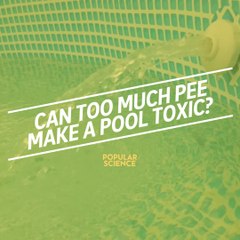 Can too much pee make a pool toxic?
