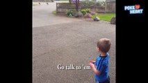 Little Boy Talks To The Turkeys - Daily Heart Beat