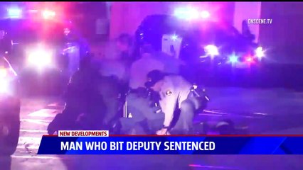 Ex-Marine Sentenced For Biting Deputy