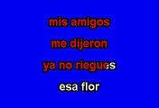 Charlie Zaa - Flor Sin Retoño (Karaoke)