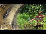 Amazing Boy Uses PVC Pipe Compound BowFishing To Shoot Fish - Khmer Fishing At Siem Reap Cambodia