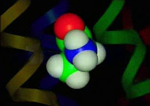 Stephen Hawkings Universe (1997) Part 1 - Ver Para Crer