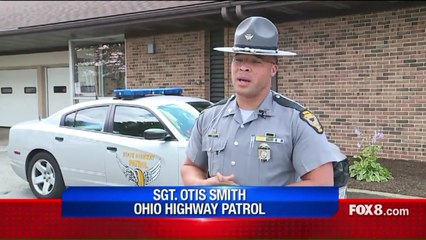 Riderless Amish Buggy, Extremely Tired Horse Stopped by Police in Ohio