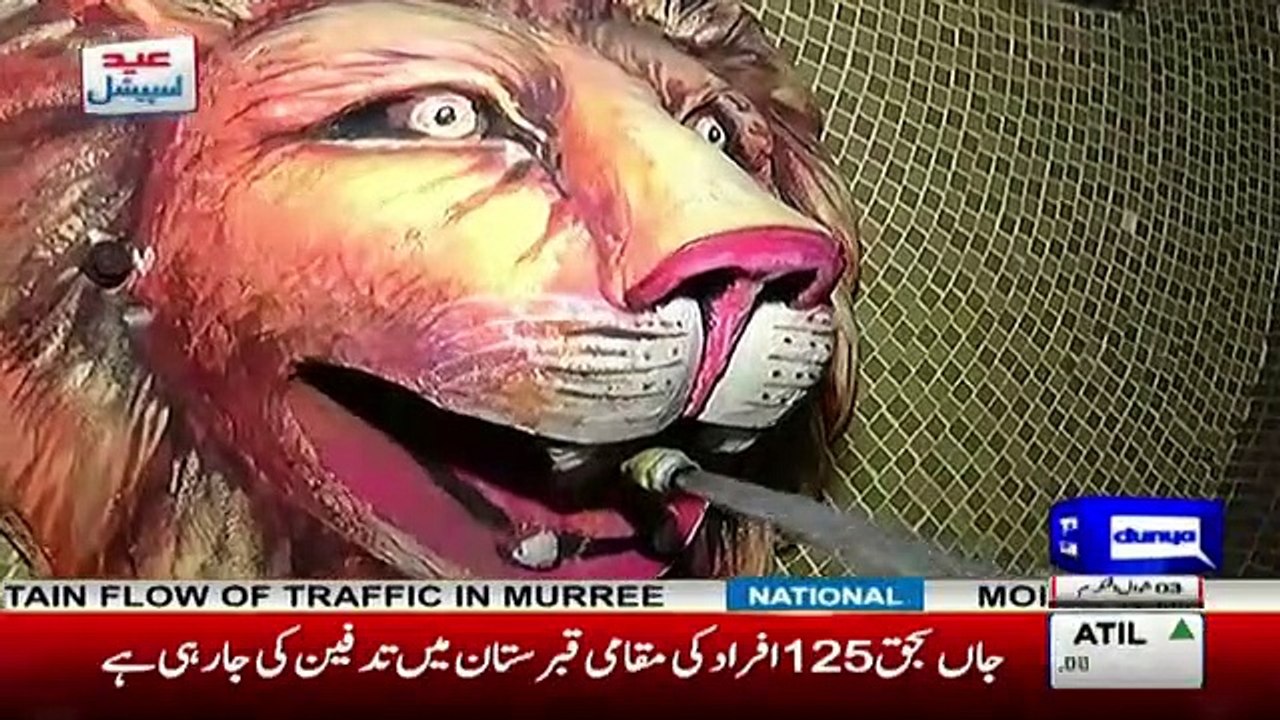 Sheen Dancing On Laila Song In Swimming Pool