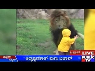 Japan: Lion Attacks Child In Zoo
