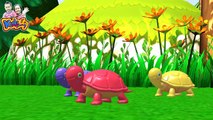 เพลงเต่า แม่เต่ากับลูกเต่า เพลงเด็ก - Turtle Song by KidsMeSong