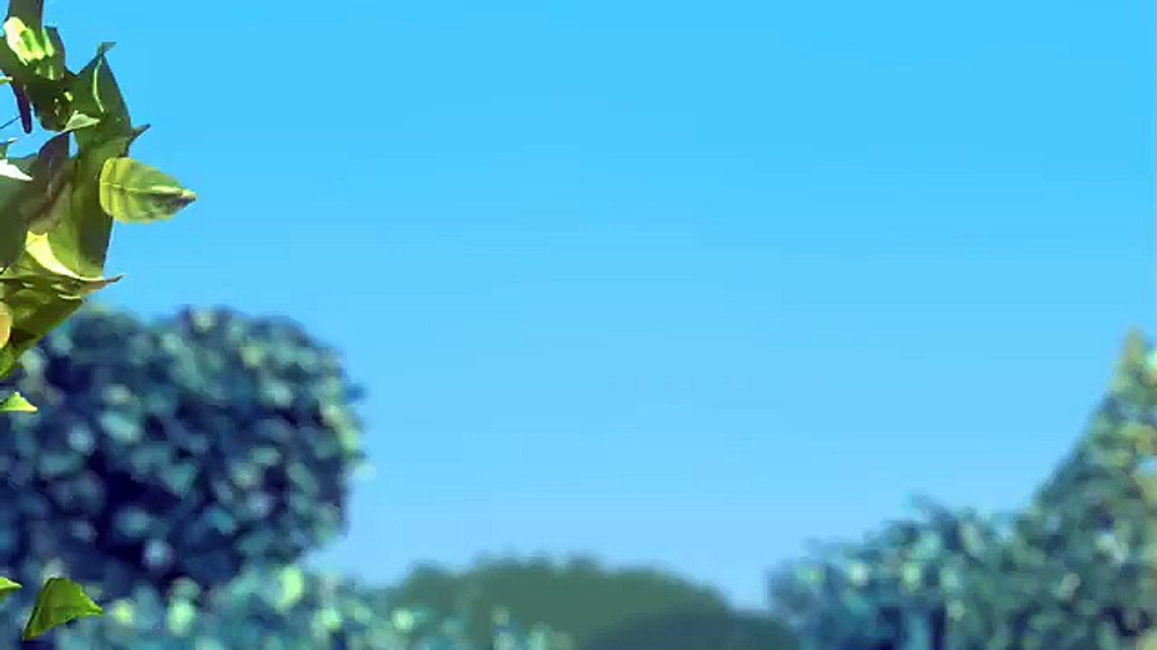 shaan video by codex