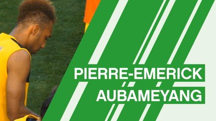 Pierre Emerick-Aubamyang - player profile