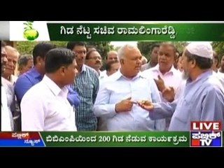 Transport Minister & Mayor Plant Trees & Celebrate World Environment Day