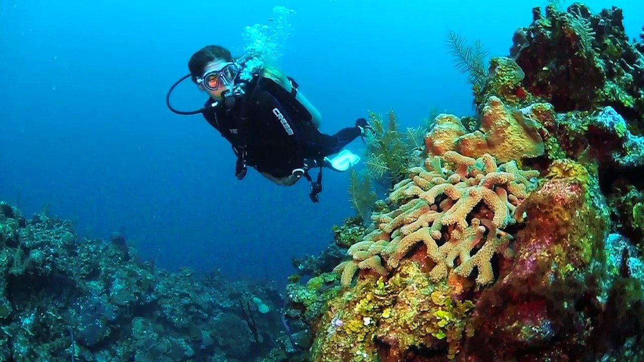 Dive the Cayman Islands with Caradonna Adventures