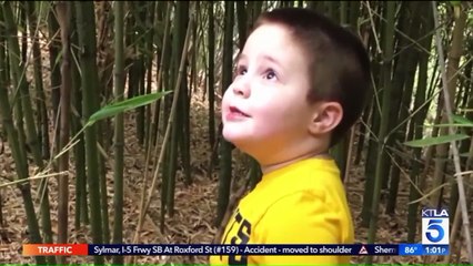 Father Accused of Killing Son Tries to Joke With Judge During Extradition Hearing