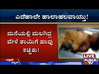 Mother & 18 Month Old Baby Killed Due Snake Bite