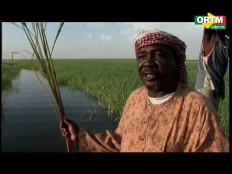 Le Mali, un delta, des hommes