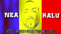 Music video for Noi suntem Romania (Audio) performed by Nea Kalu.