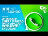 WhatsApp libera função para apagar mensagens enviadas - Hoje no TecMundo