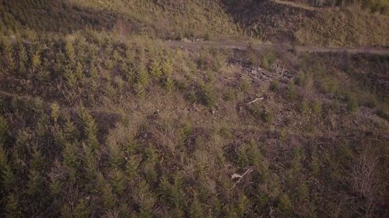TokulMTB