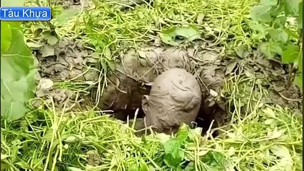 The most dangerous men on the planet - Chinese version - Part 4