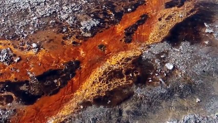 Yellowstone National Park Footage