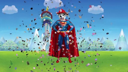 Baby Learn Colors Transform Superman Dog Ryder Paw Patrol Magic Colors for Children to Learn Funny