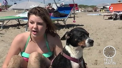 Sans frontières - Rome