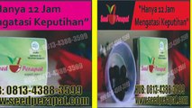 Seed Perapat Expert Miss V HUB: 0813-4388-3599