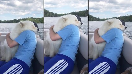 Le meilleur ami de l'homme