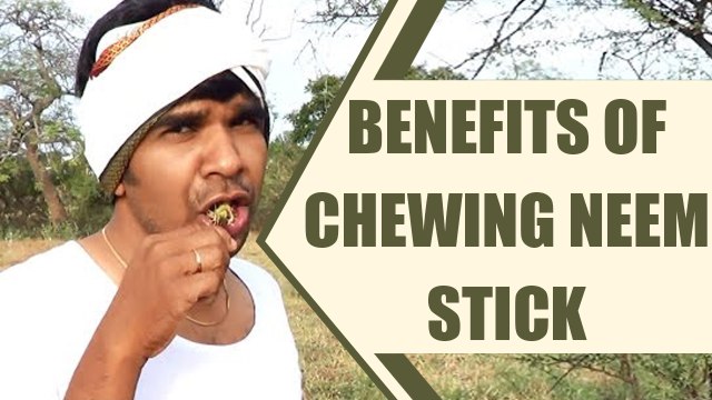 Neem twigs chew | Amazing health benefits; Check out here | Boldsky