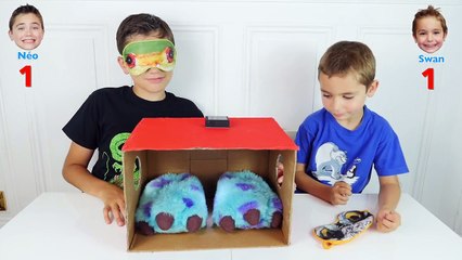 WHAT'S IN THE BOX CHALLENGE ! - C'est quoi dans la boite - - Néo VS Swan