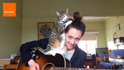 Animals Just Want Attention