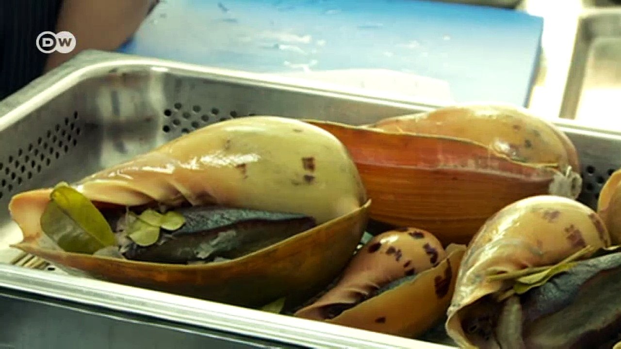 Kambodscha: Die Akademie der Spitzenköche | DW Deutsch