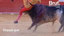 La tauromachie en chiffres