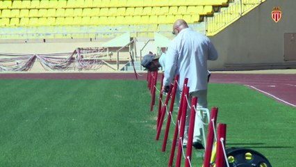 La pelouse fait peau neuve