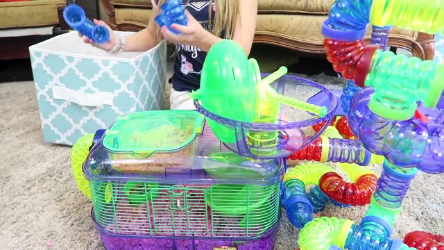 AMAZING HAMSTER MAZE! Setting up Hamster Cages and Tubes from CritterTrail Shopping at Pet