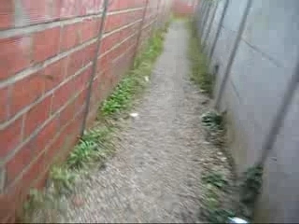 Zorro - Jumper fou Xd