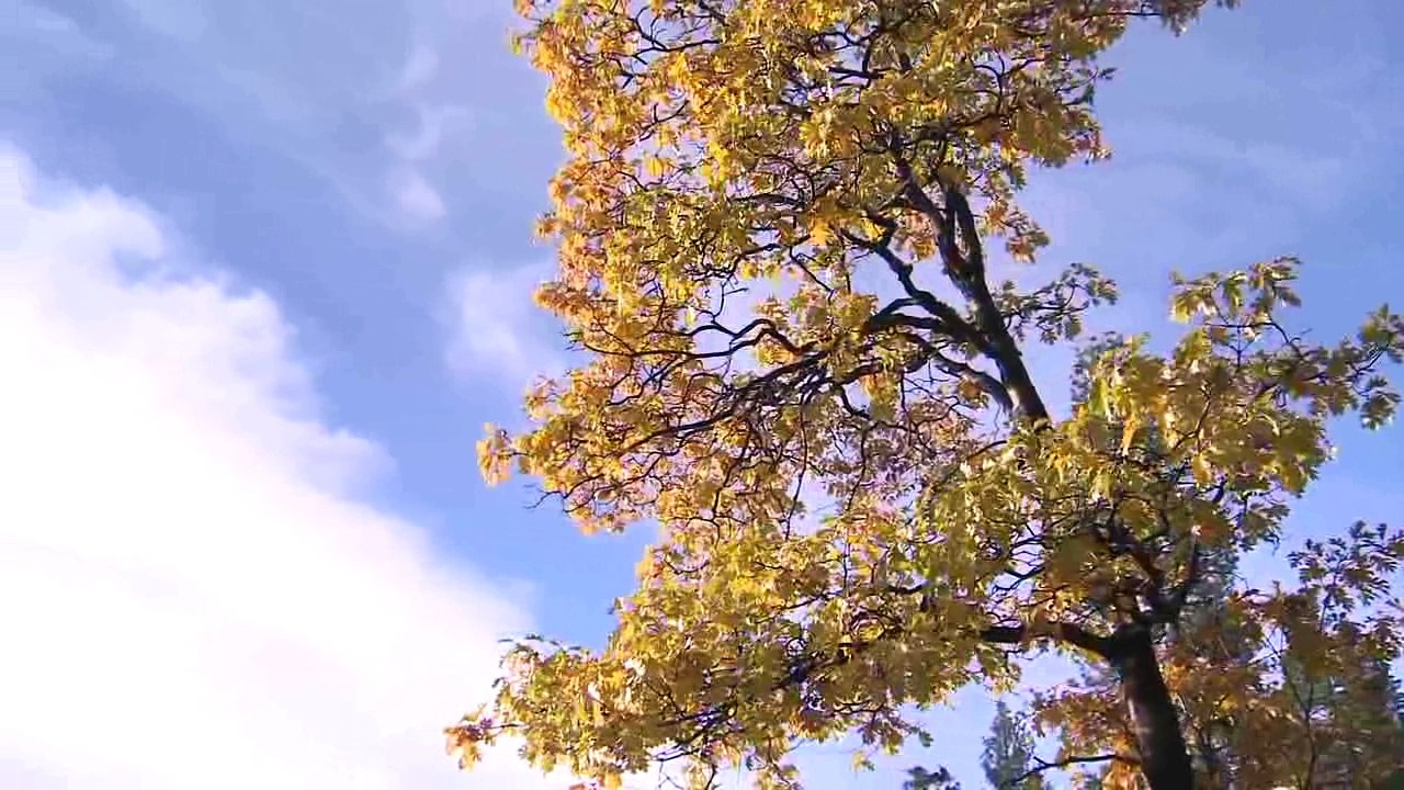 Amazing beautiful Nature 2017