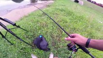 Tiny Urban Creek Fishing In Dallas Texas