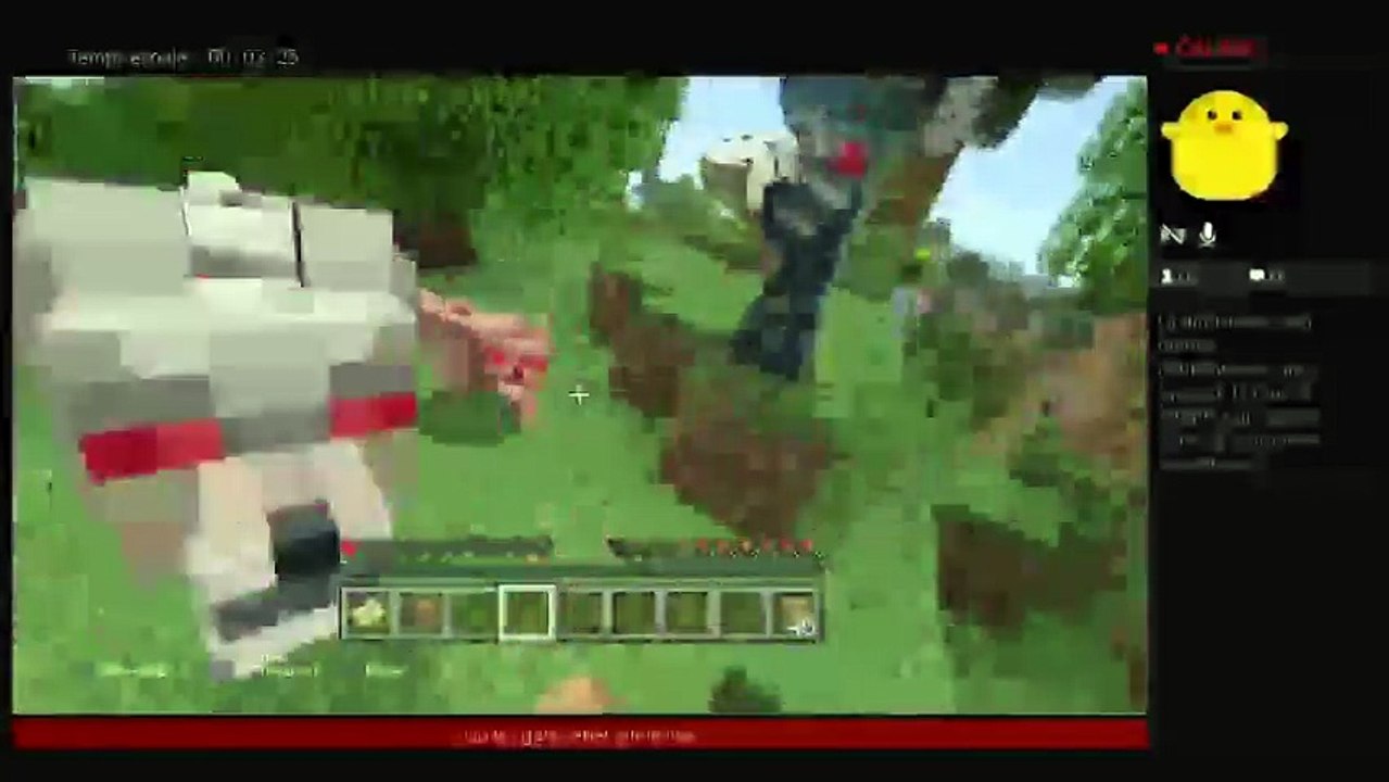 Minecraft survi (62)