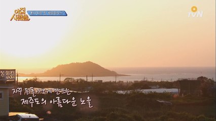 제주 방랑하우스의 테라스 뷰(view)~