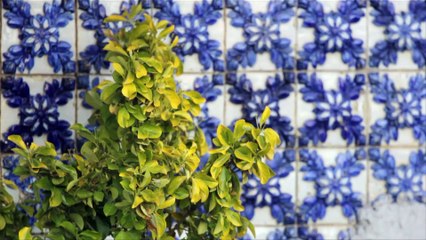 MXGP of Portugal 2017 - Postcard