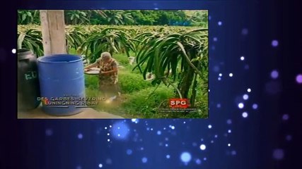 Mul#06282017 - P1 / Dailynewsportal.net