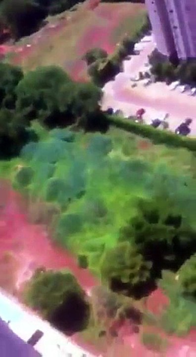 Compra PARAQUEDAS na Net e Salta da Varanda